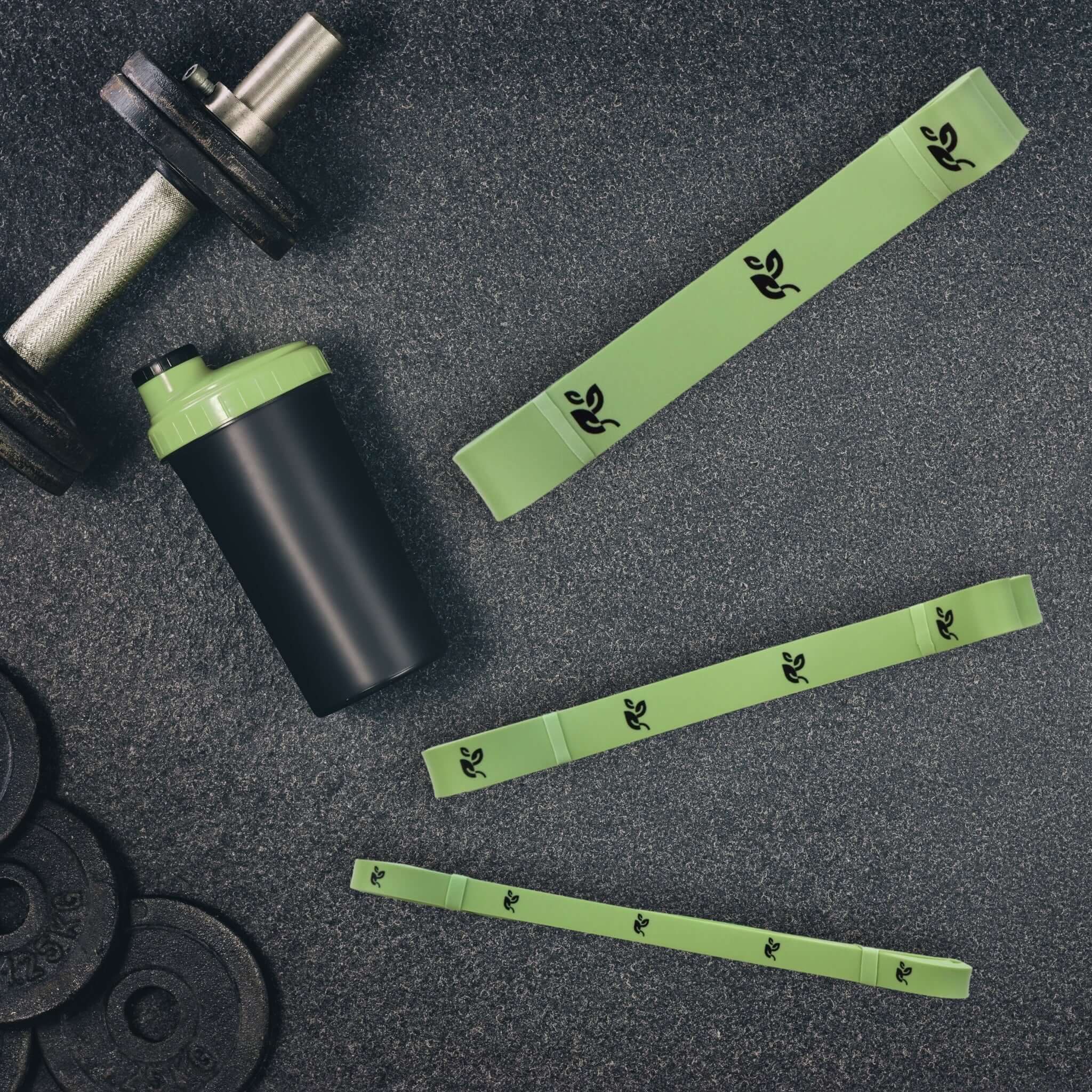 Bande Verte - Motif Feuille