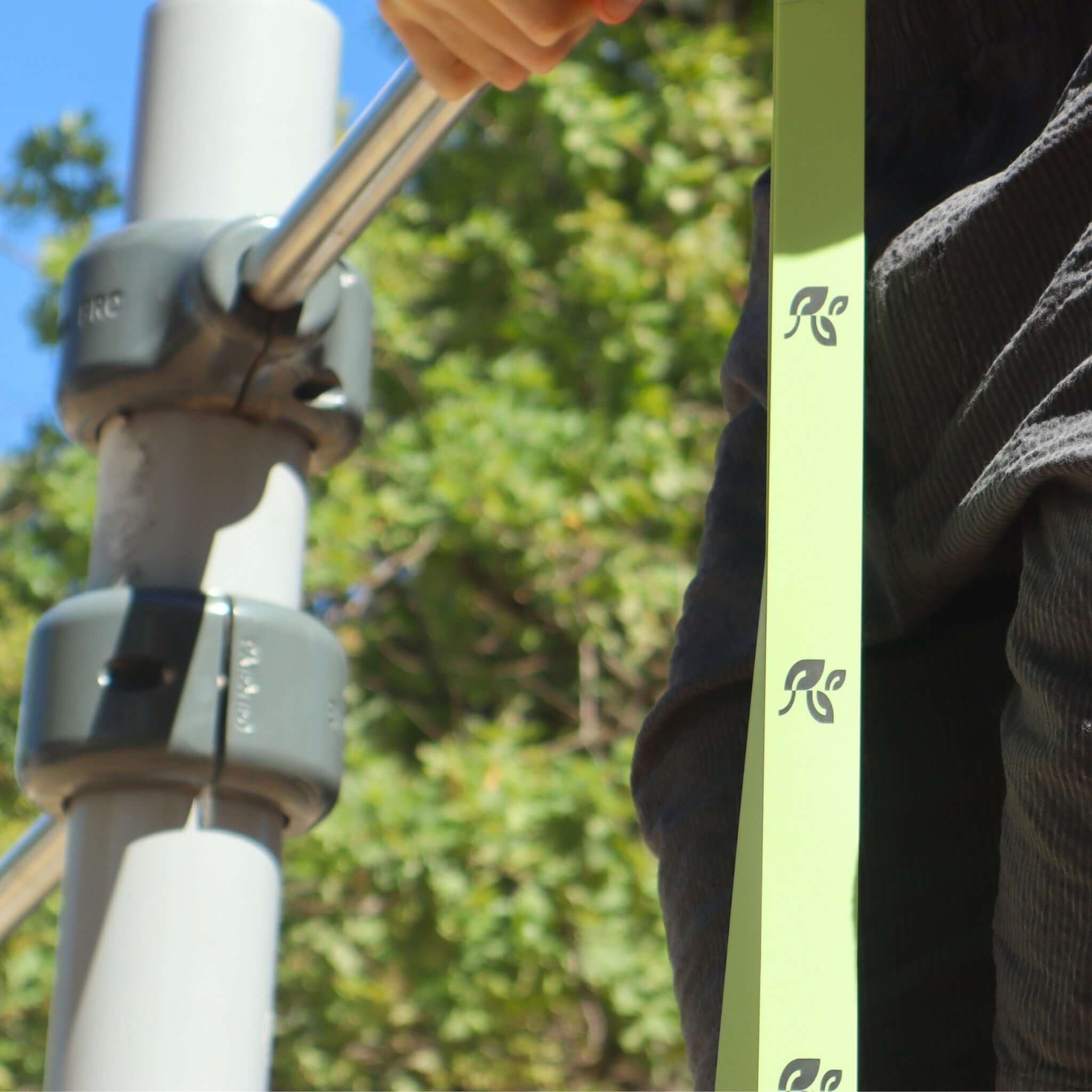 Bande Verte - Motif Feuille